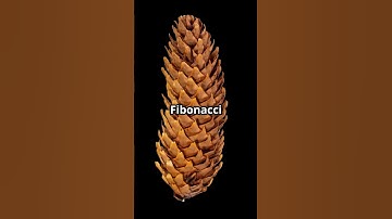 Unlocking the Secrets of Fibonacci: Nature