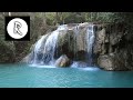 8 hours rainforest sounds nature  forest birds for relaxation spa  massage rooms