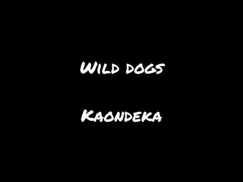 Wild dogs Kaondeka