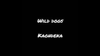 Wild dogs Kaondeka