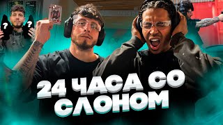 24 ЧАСА СО СЛОНОМ 2DROTS