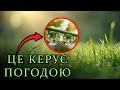 Точка Роси - Те, про що ви можливо НЕ ЗНАЛИ!