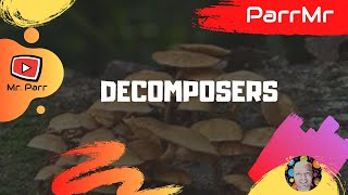 Decomposers Song