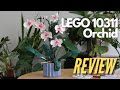 LEGO Orchid review and first impressions (10311)