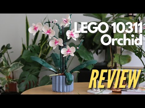 LEGO® Icons - L'orchidée - 10311 au meilleur prix