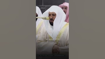 سورة يونس الآية 24 بصوت الشيخ ماهر المعيقلي #ماهر_المعيقلي #القرآن_الكريم
