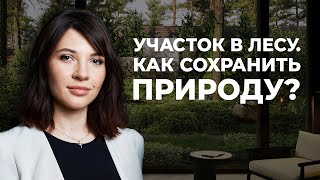 видео: Участок в лесу. Как сохранить природу? 5 правил картинка: Участок в лесу. Как сохранить природу? 5 правил