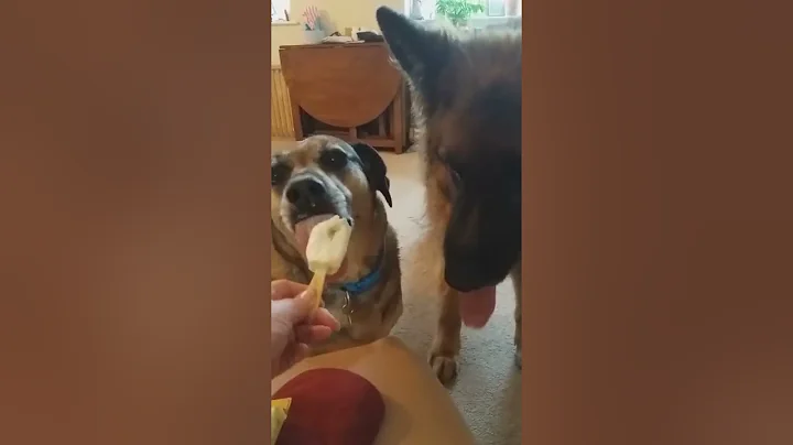 sharing