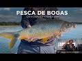 Las 10 cosas que tenes que saber de la pesca de bogas tcnicas y tutoriales