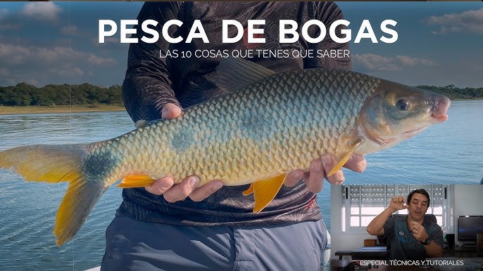 Como Se Empatilla El Hilo Boyero: Step-by-Step Guide