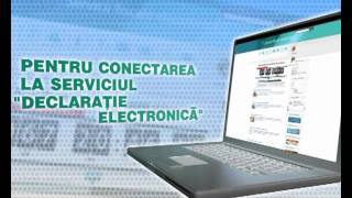 Declaratia Electronica