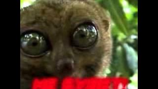 5d3c21b6e47c 10489115 vk