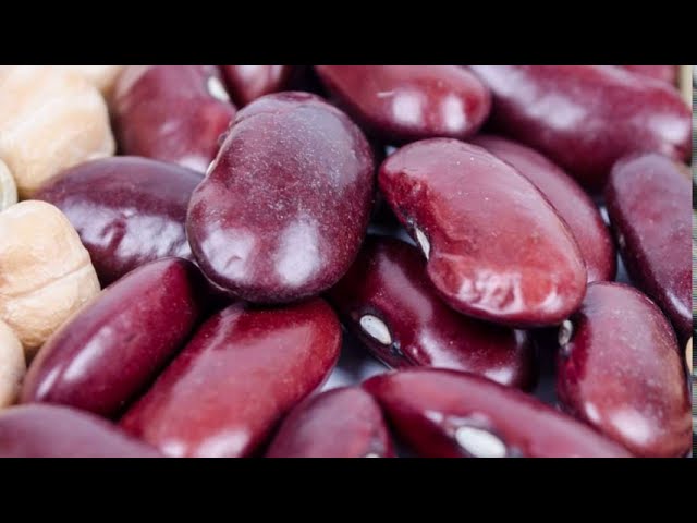 Польза фасоли - это интересно знать