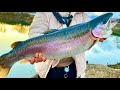 貯水池に潜むとんでもない怪物を釣って刺身で食ったら極上過ぎた...