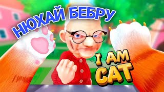 : I AM CAT /   
