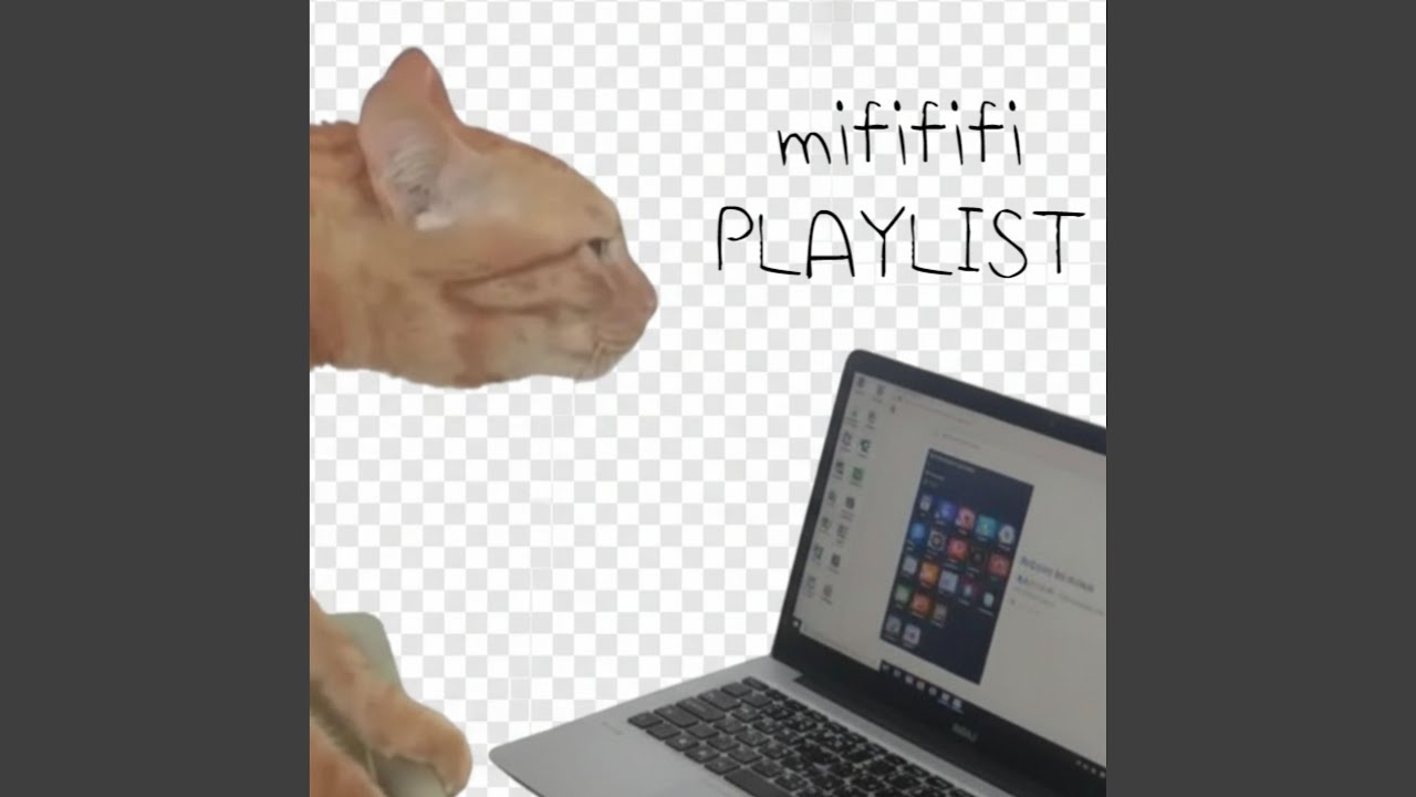 Oops… I Broke My Spine Again