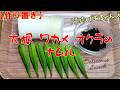【作り置き】大根 ワカメ オクラのナムル『驚くほど旨い健康食品！！』Let's eat season's food