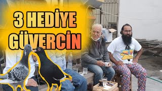 BAYRAM HEDİYESİ: 2 ŞAMİ 1 MÜSEVET - İSKENDERUN