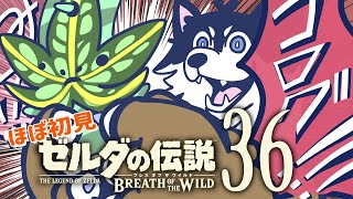 【はじめてのゼルダの伝説】＃36　描いてて思うけどコログってちょっと怖くね？【BotW】