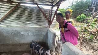 Update with Edwards pig business + Electricity for Do-Do’s family - Province life Philippines 🇵🇭
