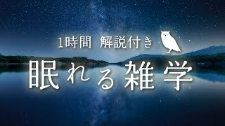 【睡眠導入】最高の睡眠へ 100の雑学 | 疲労回復【合成音声】