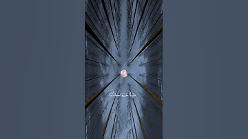 القارئ :ماهر المعيقلي﴿ فَمَن يُرِدِ اللَّهُ أَن يَهْدِيَهُ يَشْرَحْ صَدْرَهُ  ۖ﴾[ سورة الأنعام 125]