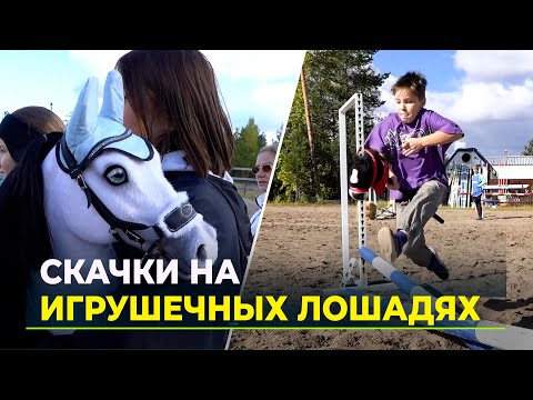 Хоббихорсинг на Ямале: впервые в истории округа