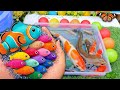 Serok ikan warna-warni air tawar, ikan hias, ikan cupang, ikan koi hias, ikan komet, kura-kura  🐠
