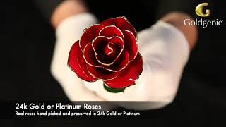 24k Gold Red Roses | 24k Gold Plated Red Roses | Real Roses Preserved in 24k Gold | Goldgenie |Video