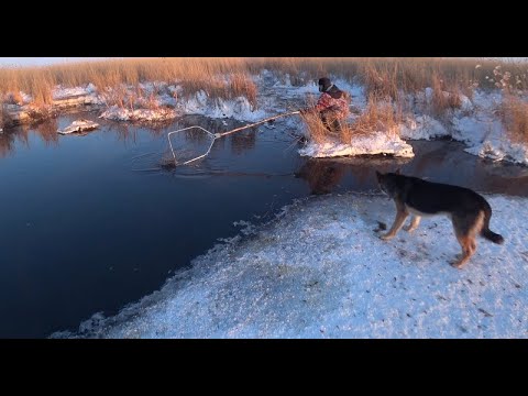 Рыбалка на паук подъёмник . Загар в самом разгаре.