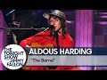 Aldous harding the barrel