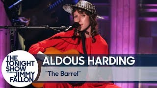 Video thumbnail of "Aldous Harding: The Barrel"