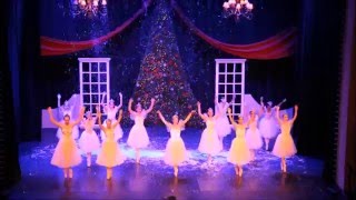 Russian Academy of Ballet Fedotov- The Nutcracker