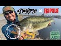 イヨケン × RAPALA シャッドラップで大爆釣！！【10FTUイヨケン】五三川／大江川