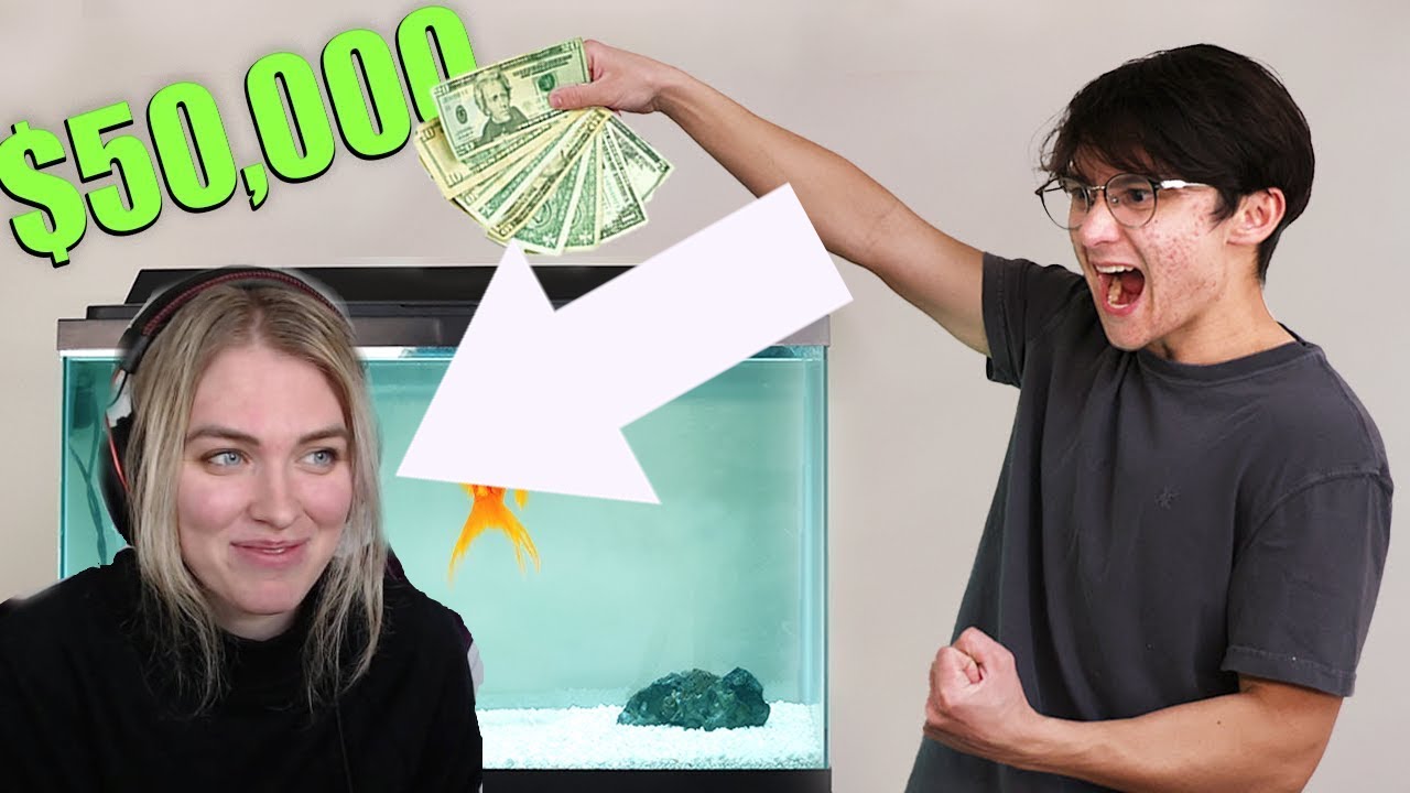 QTCinderella Reacts to New Michael Reeves Video 'I Gave My Goldfish $50,000 to Trade Stocks'