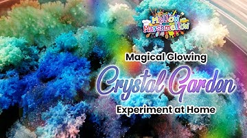 Magical Glowing Crystal Garden Experiment at Home | Mellow Marshmellow