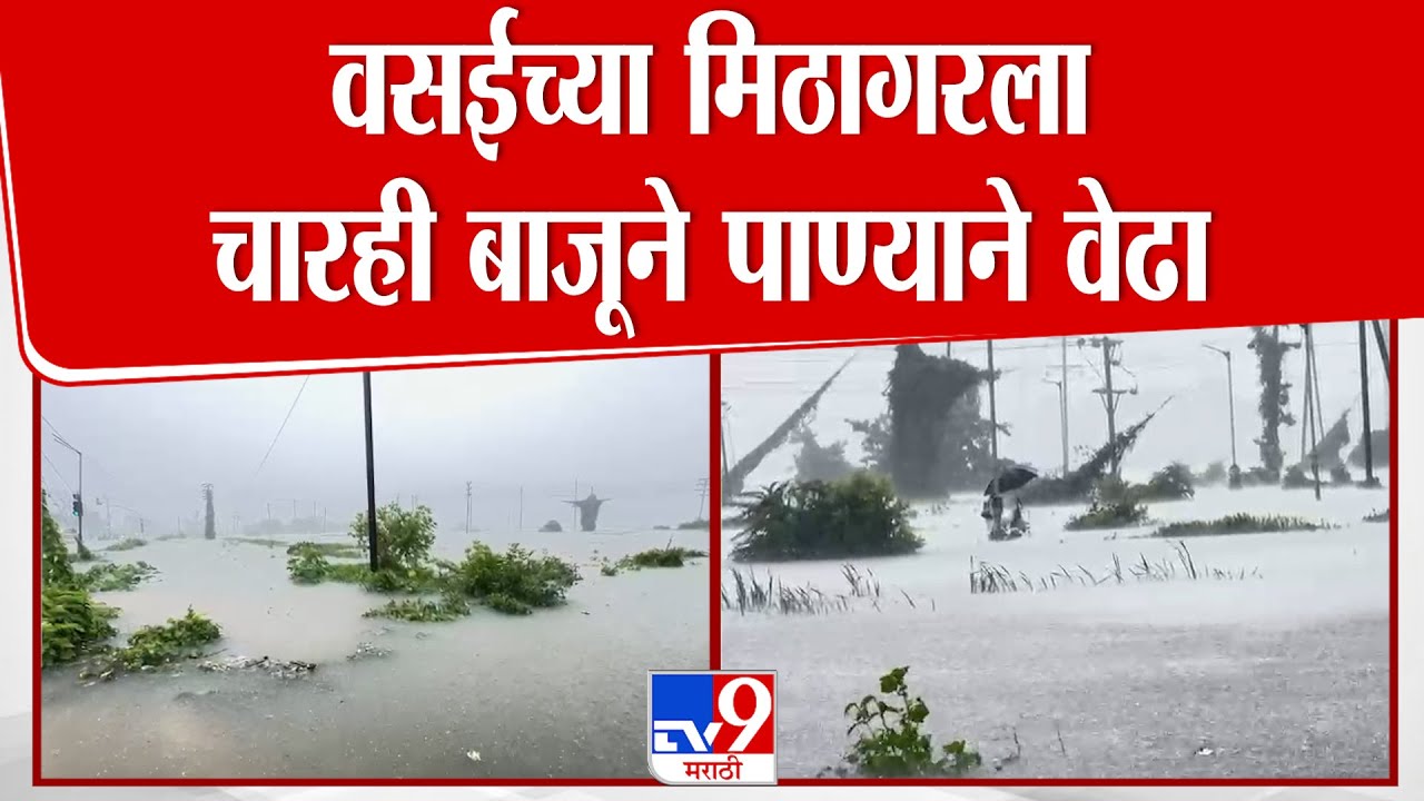 Vasai-Virar Rain Update | वसईच्या मिठागरला चारही बाजूने पाण्याने वेढा