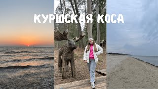 Куршская коса. Весна в Калининградской области 🌊🌿