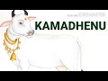 Kamadhenu the sacred cow