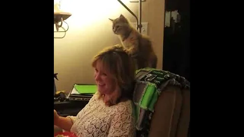 Callie's silliness- Kitten grooming at its finest.