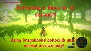 Defeating a Hinox (Kincean island) in 30 seconds!(Zelda BOTW) screenshot 4