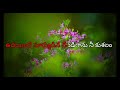 Priya Ninu Chudaleka Telugu Karaoke song With Telugu Lyrics