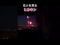 【HIKAKIN】花火🎆を見る若いヒカキンさん【HikakinTV】
