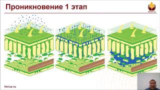 Осеннее применение глифосатов