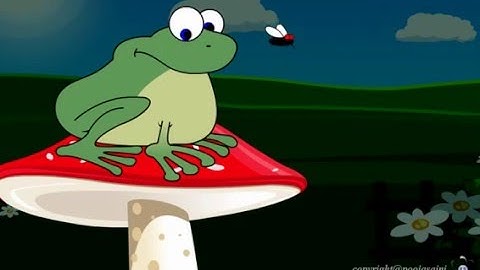 Frog Animation | 2D Animation | Adobe Flash CS6