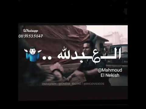 مهرجان مطرح ما دماغك توديك هتلاقيني مستنيك