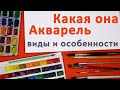 Акварель. Что нужно знать про Акварель. Виды и особенности. Основы Акварели.