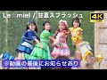 Le Miel 甘夏すぷらっしゅ 2025 2 8 鶴舞公園 Le Miel 甘夏すぷらっしゅ 2025 2 8 鶴舞公園