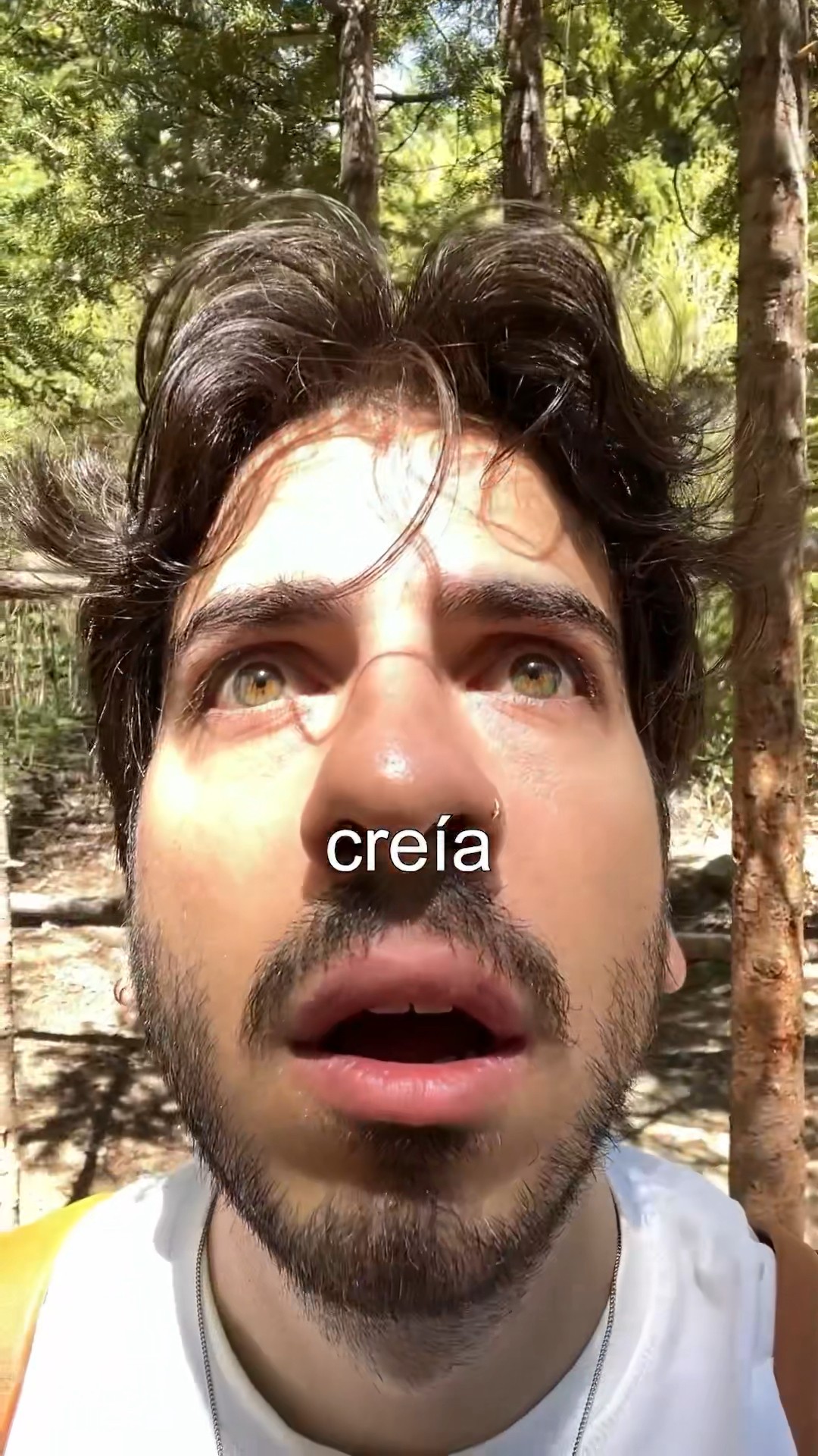 busqué a un trol en la vida real.