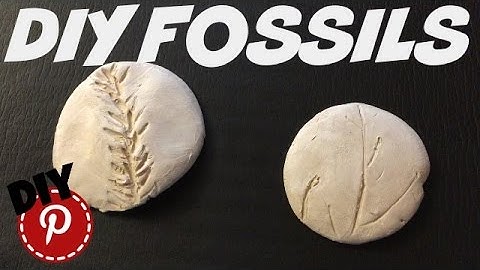 DIY Fossils